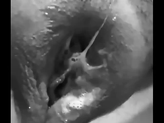 Chata link up se toca palazzo el salvador Lima Perú caseros chupa pene